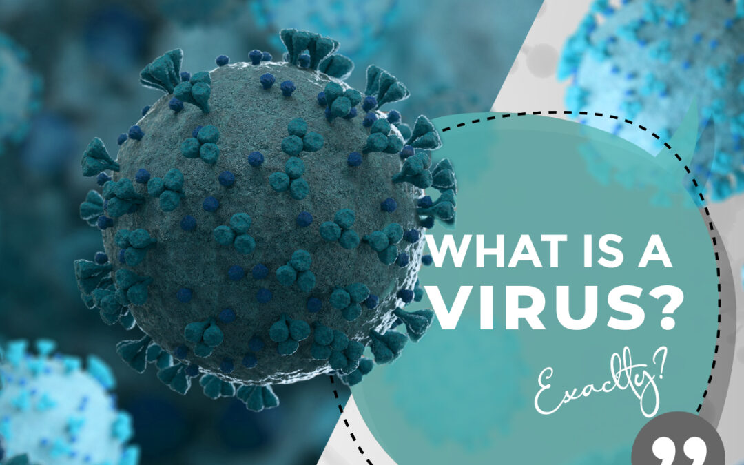 What is a Virus Exactly?
